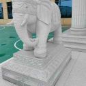 开封 白麻花岗岩动物异形石雕-大象