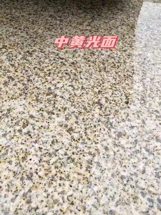 开封黄金麻中黄光面
